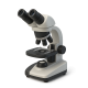 Stereo Microscopes with 3D Imaging and Low Magnification
