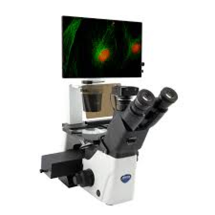 Inverted Fluorescence Microscope OPTIKA IM-300LD2