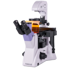 MAGUS Lum V500 — Professional Fluorescence Biological Microscope