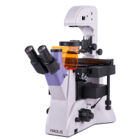 MAGUS Lum V500L Inverted Fluorescence Microscope