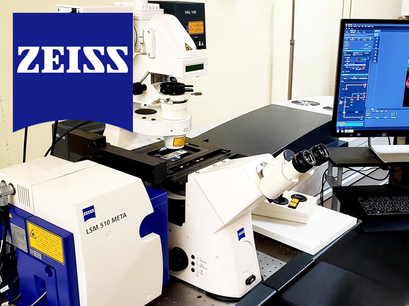 Оборудование ZEISS в лаборатории
