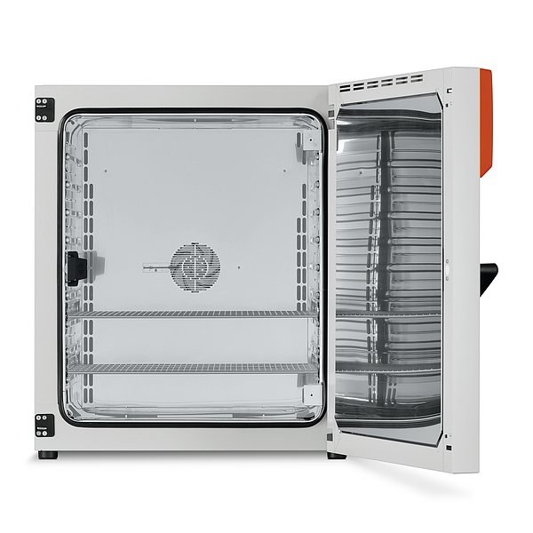 Binder FD 260 сушильный и нагревательный шкаф с конвекцией
