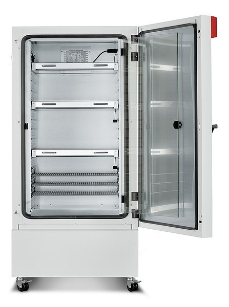 Binder KBW 240 камера роста